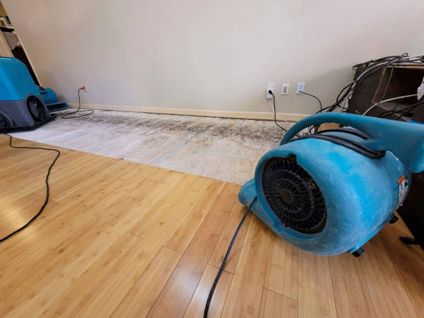Professional Burst Pipe Water Damage technician working in McBee, SC